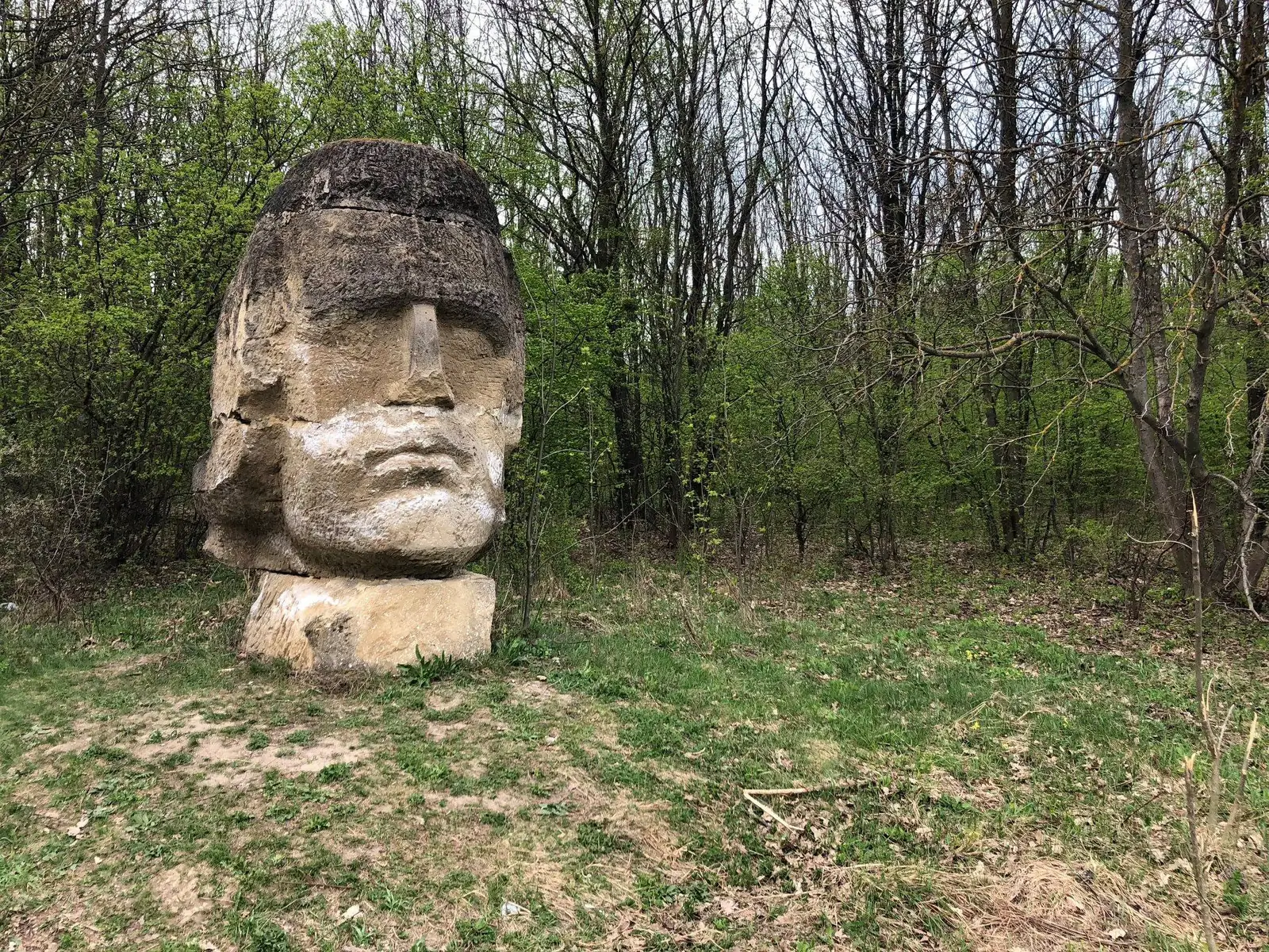 Poiana cu Schit