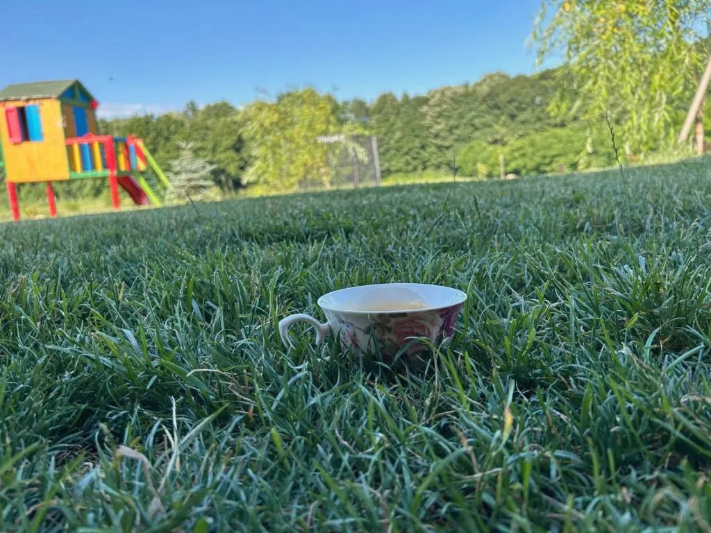 Ceașcă de cafea în iarbă, dimineața